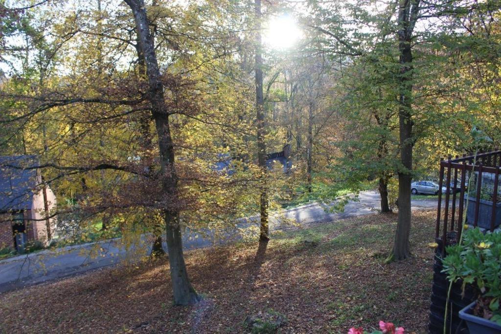 Gezellige Chalet Met Groot Zonneterras In Domaine Du Bonsoy - Vernieuwd In 2024 Blaimont Exterior foto